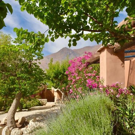 ピスコ・エルキ Refugio Misterios Del Elqui Bed & Breakfast エクステリア 写真