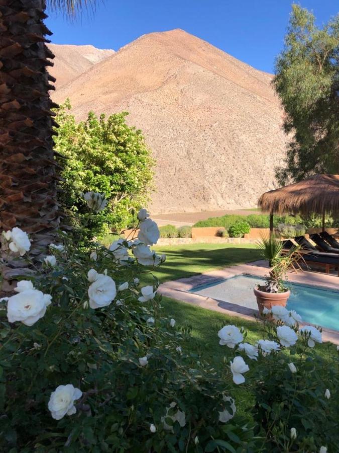 ピスコ・エルキ Refugio Misterios Del Elqui Bed & Breakfast エクステリア 写真