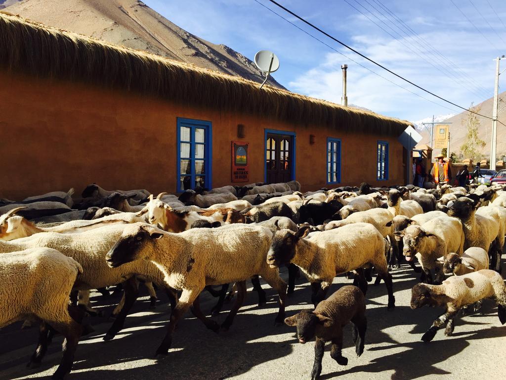 ピスコ・エルキ Refugio Misterios Del Elqui Bed & Breakfast エクステリア 写真